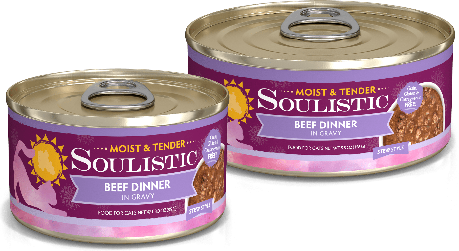 Soulistic Beef Dinner In Gravy